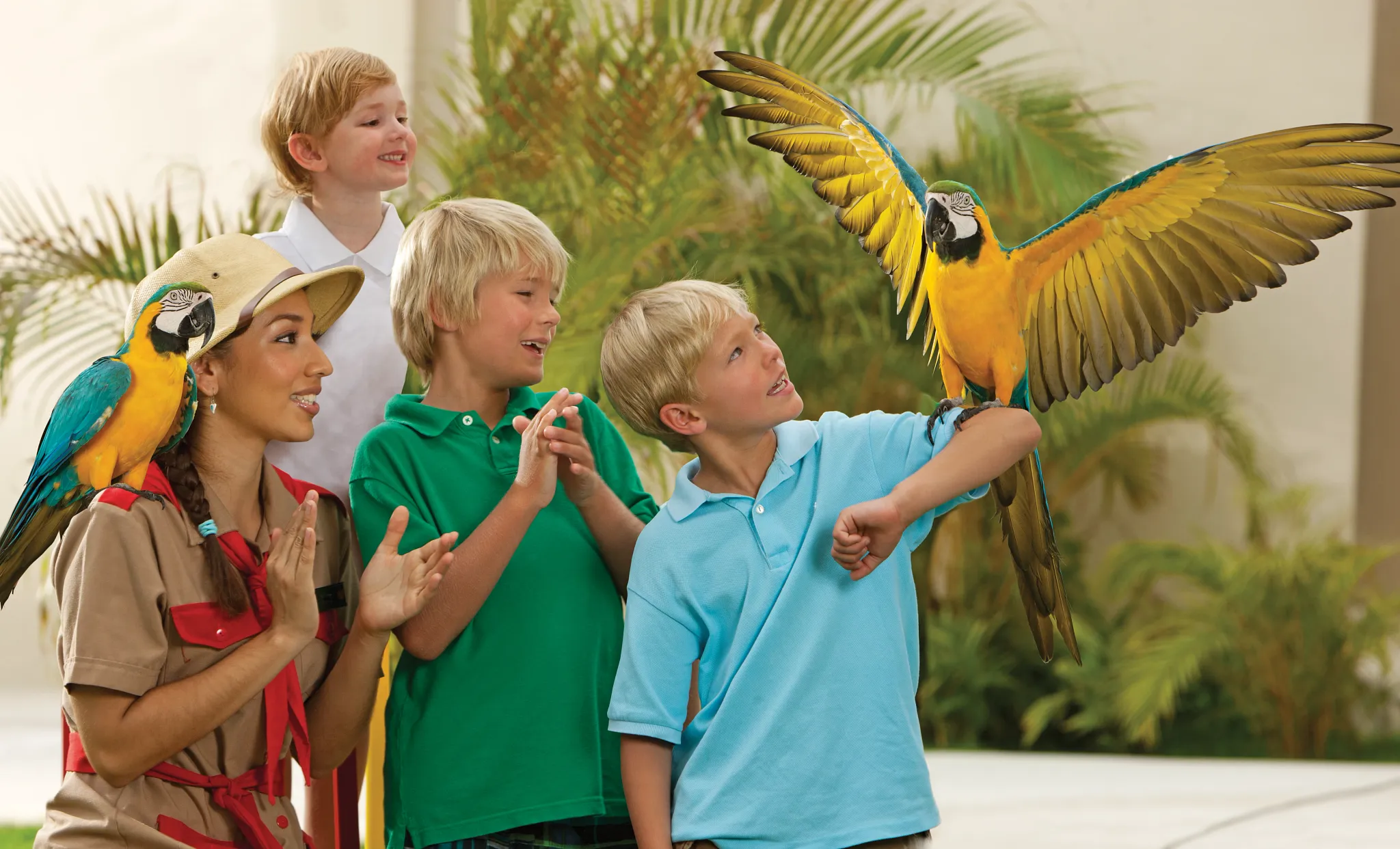 Children interacting with colorful parrots at the Explorer’s Club at Dreams Vallarta Bay Resort & Spa.